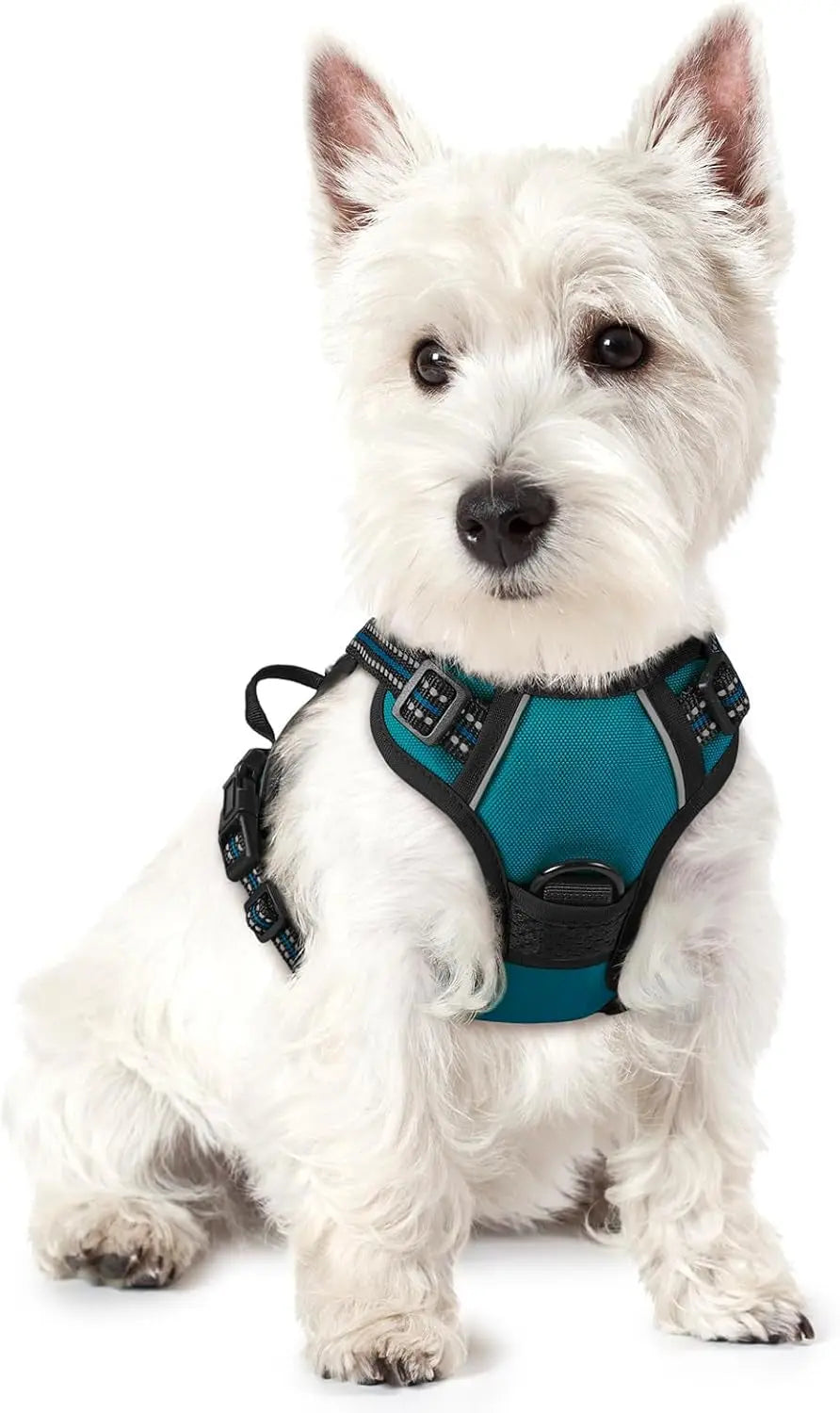 No-Pull Reflective Dog Harness, Heavy-Duty Oxford, Adjustable
