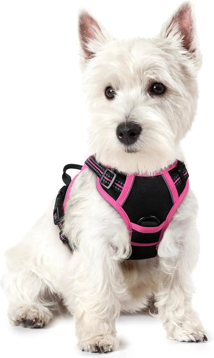 No-Pull Reflective Dog Harness, Heavy-Duty Oxford, Adjustable