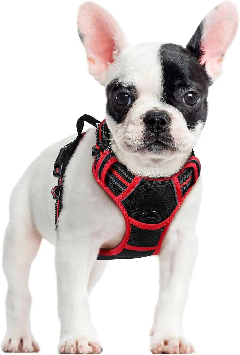 No-Pull Reflective Dog Harness, Heavy-Duty Oxford, Adjustable