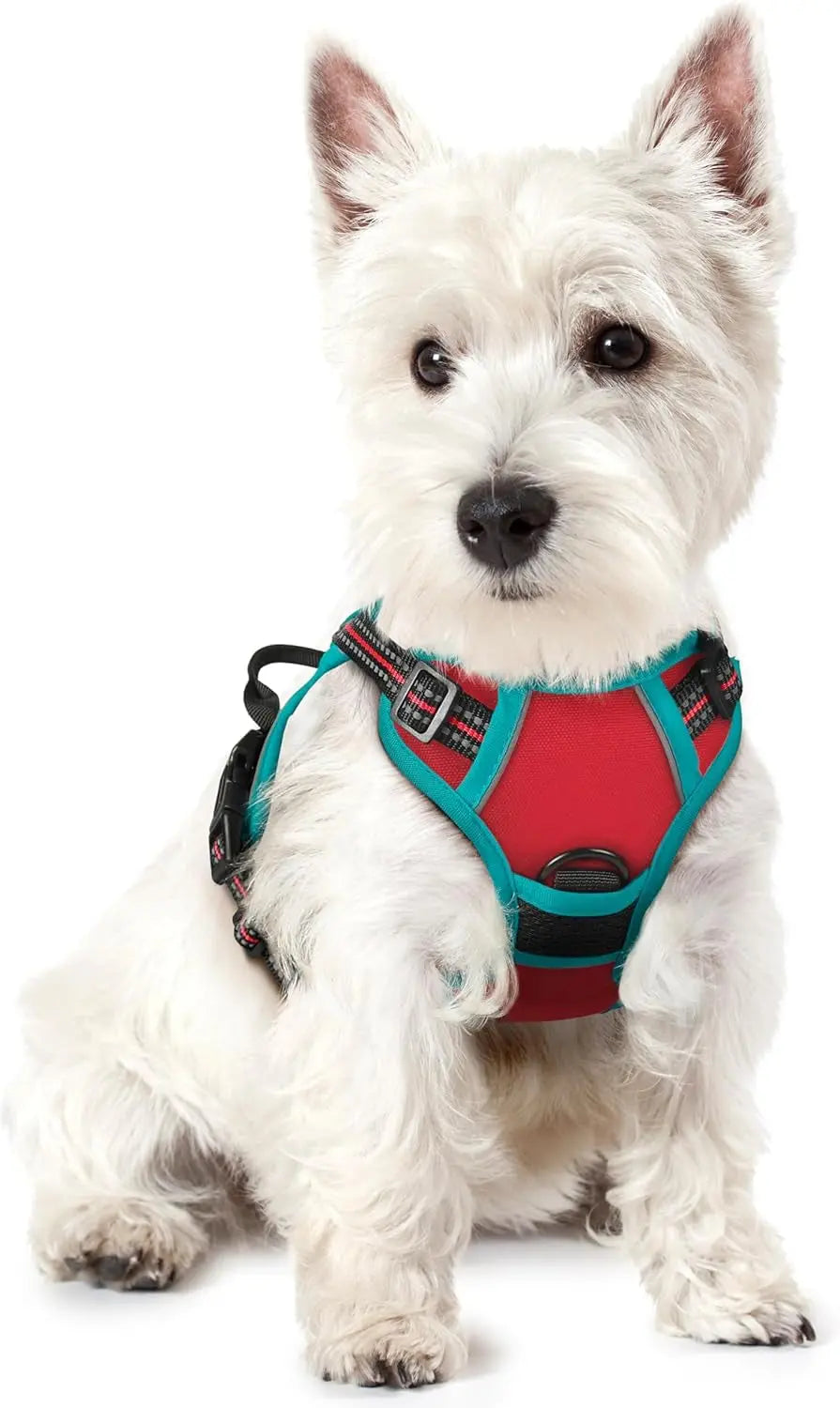 No-Pull Reflective Dog Harness, Heavy-Duty Oxford, Adjustable