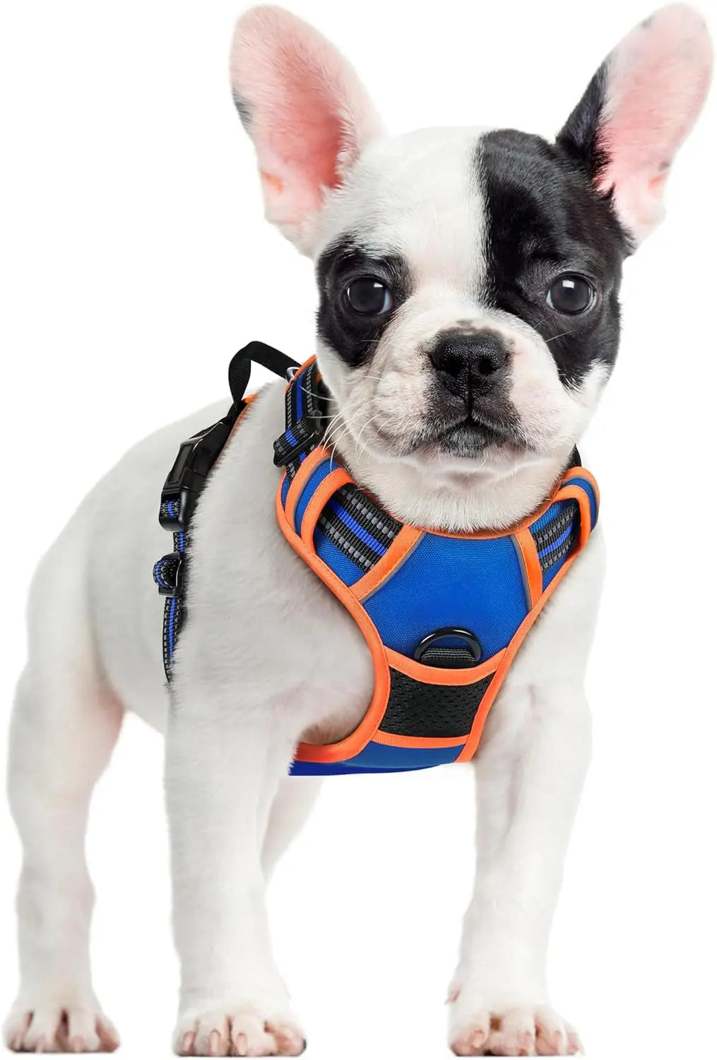 No-Pull Reflective Dog Harness, Heavy-Duty Oxford, Adjustable