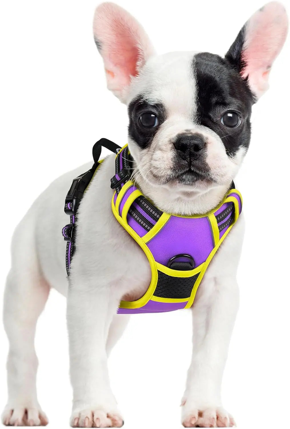 No-Pull Reflective Dog Harness, Heavy-Duty Oxford, Adjustable