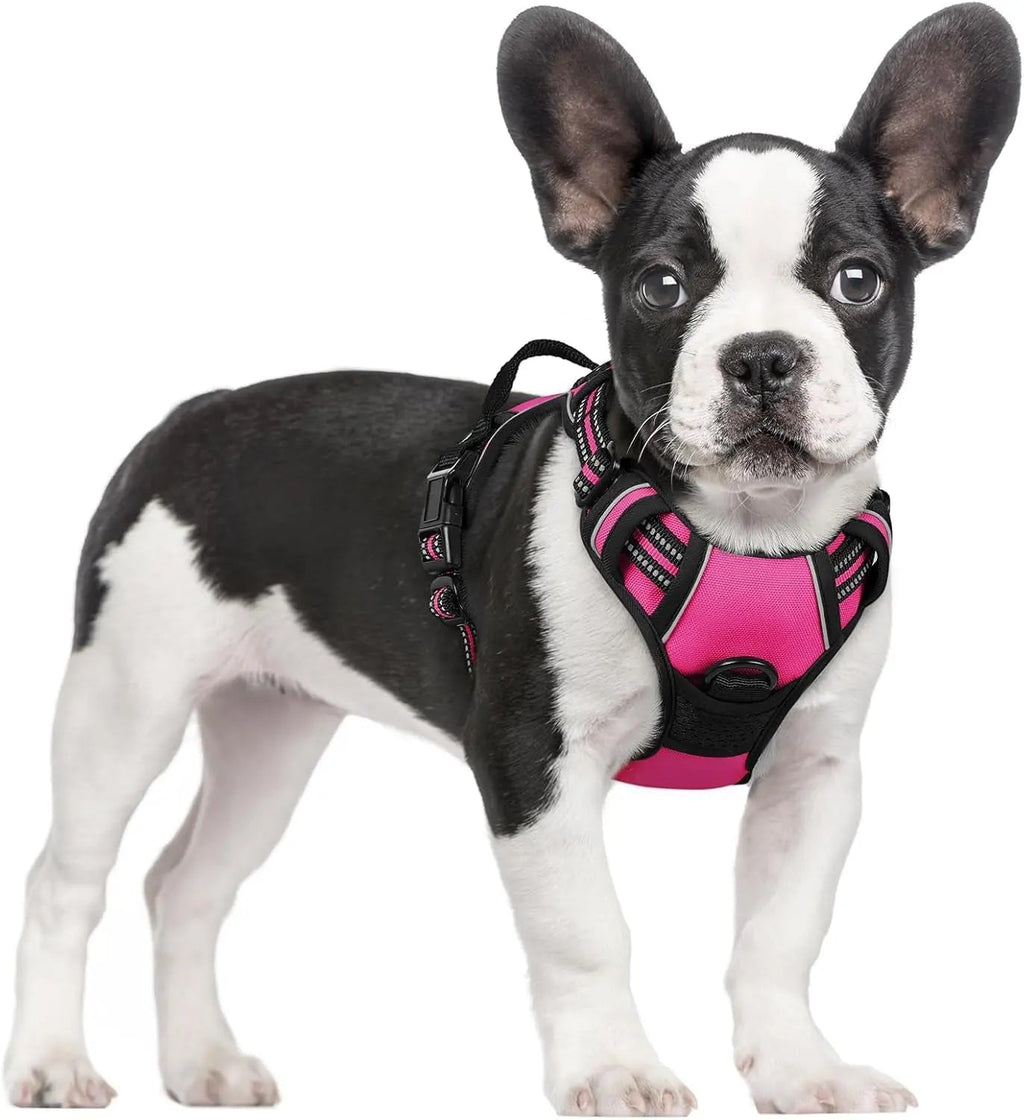 No-Pull Reflective Dog Harness, Heavy-Duty Oxford, Adjustable