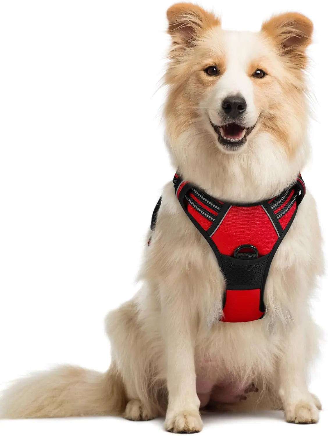 No-Pull Reflective Dog Harness, Heavy-Duty Oxford, Adjustable