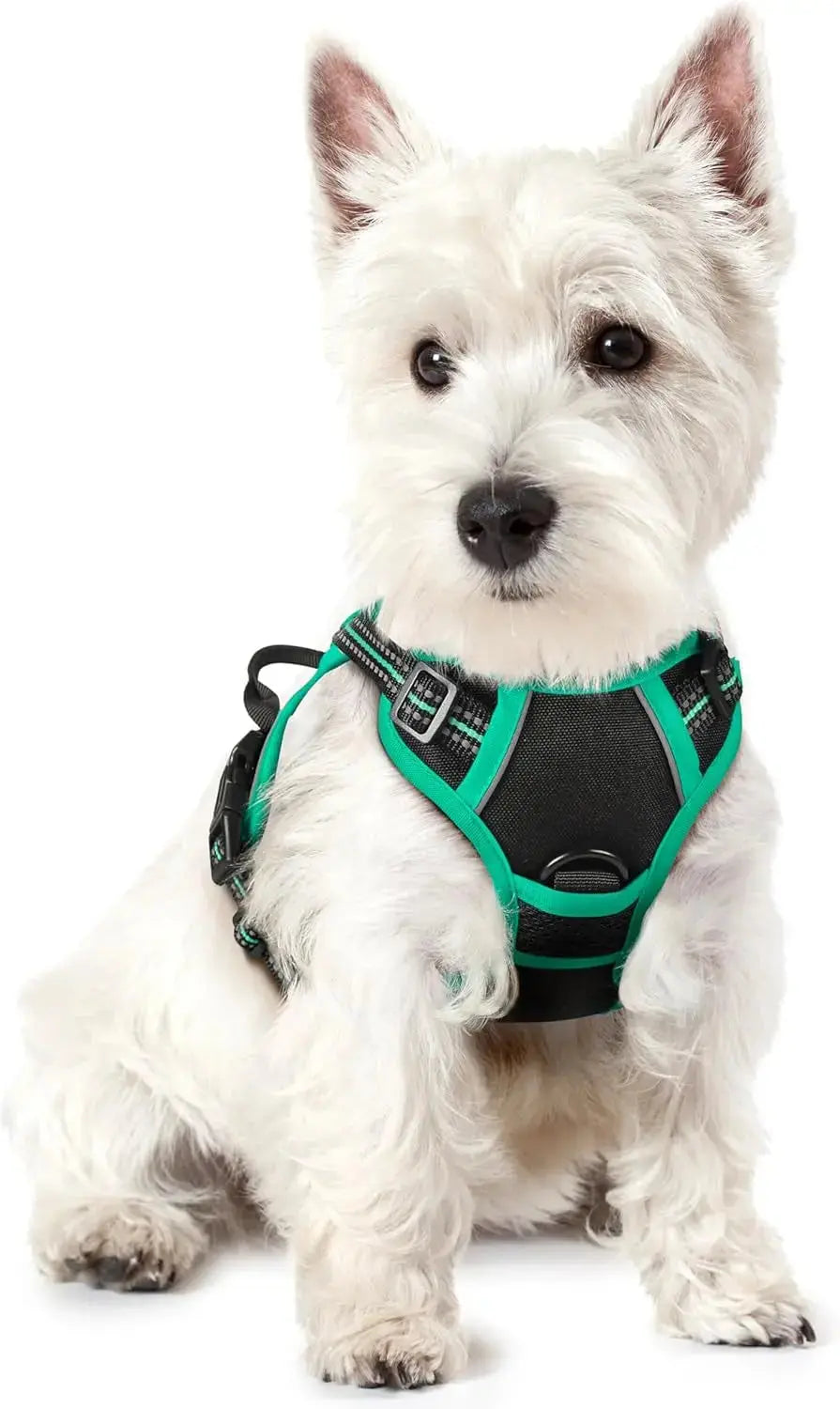 No-Pull Reflective Dog Harness, Heavy-Duty Oxford, Adjustable