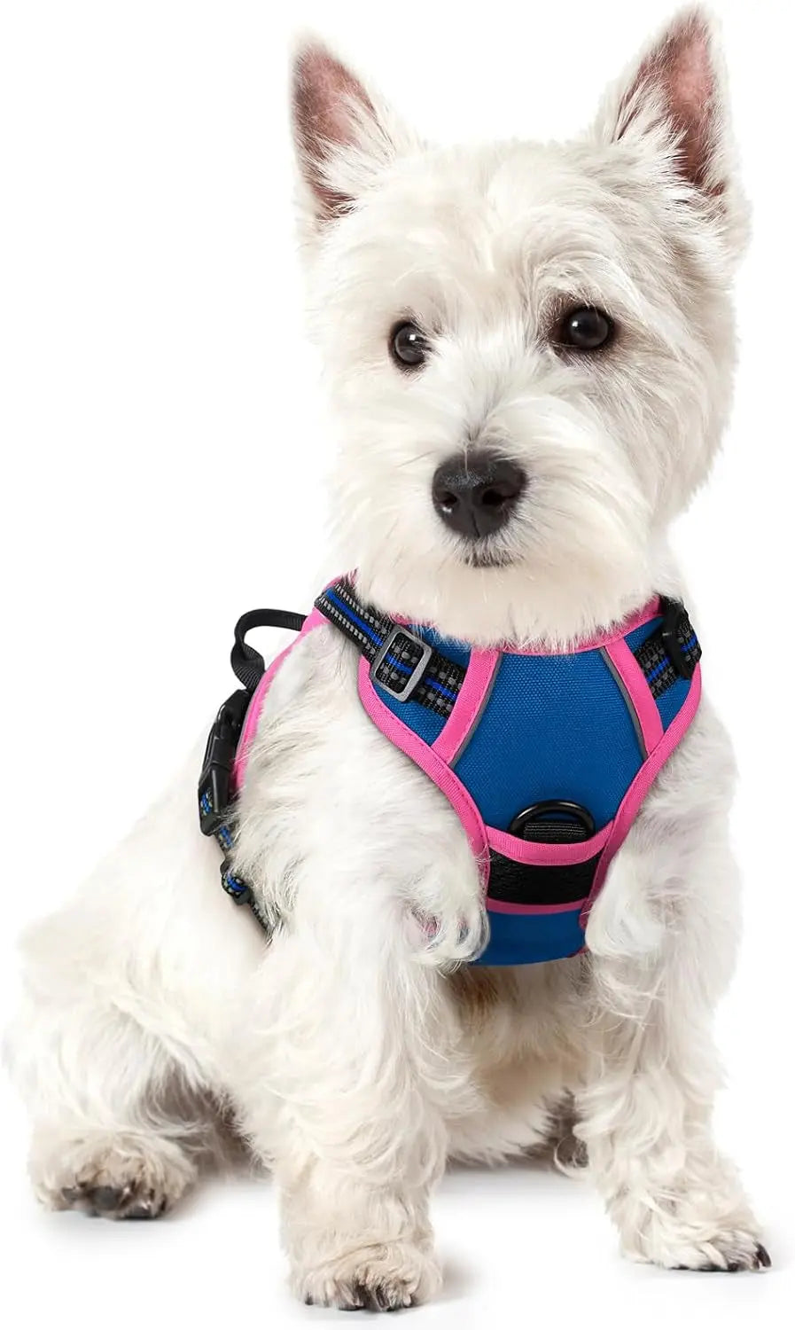 No-Pull Reflective Dog Harness, Heavy-Duty Oxford, Adjustable