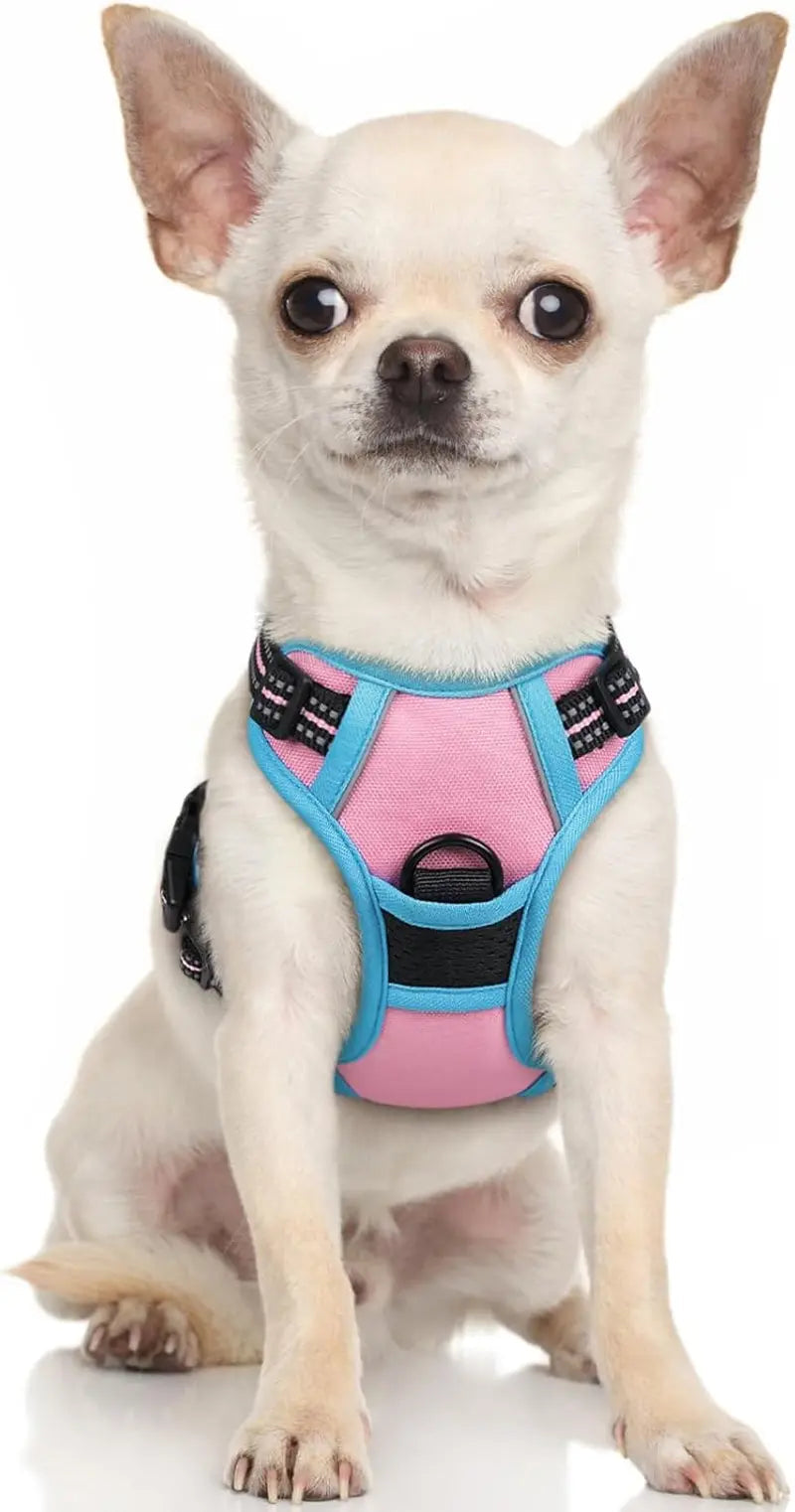 No-Pull Reflective Dog Harness, Heavy-Duty Oxford, Adjustable
