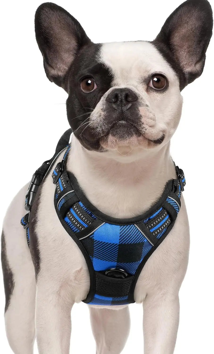 No-Pull Reflective Dog Harness, Heavy-Duty Oxford, Adjustable