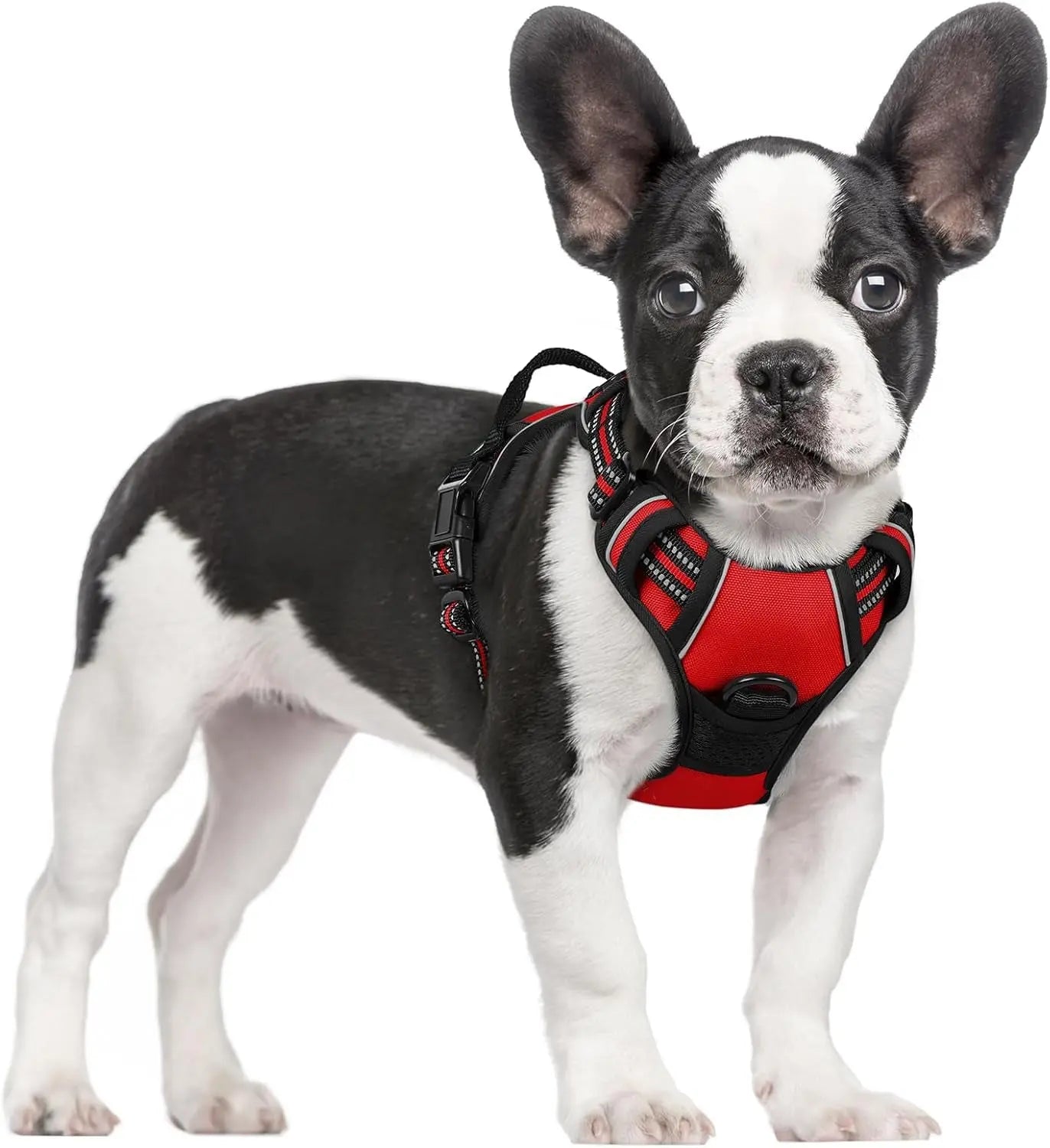 No-Pull Reflective Dog Harness, Heavy-Duty Oxford, Adjustable