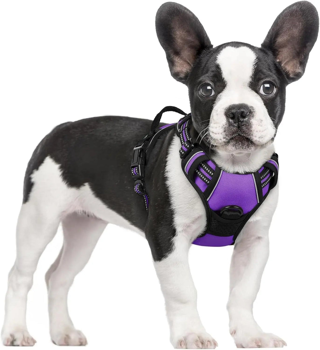 No-Pull Reflective Dog Harness, Heavy-Duty Oxford, Adjustable