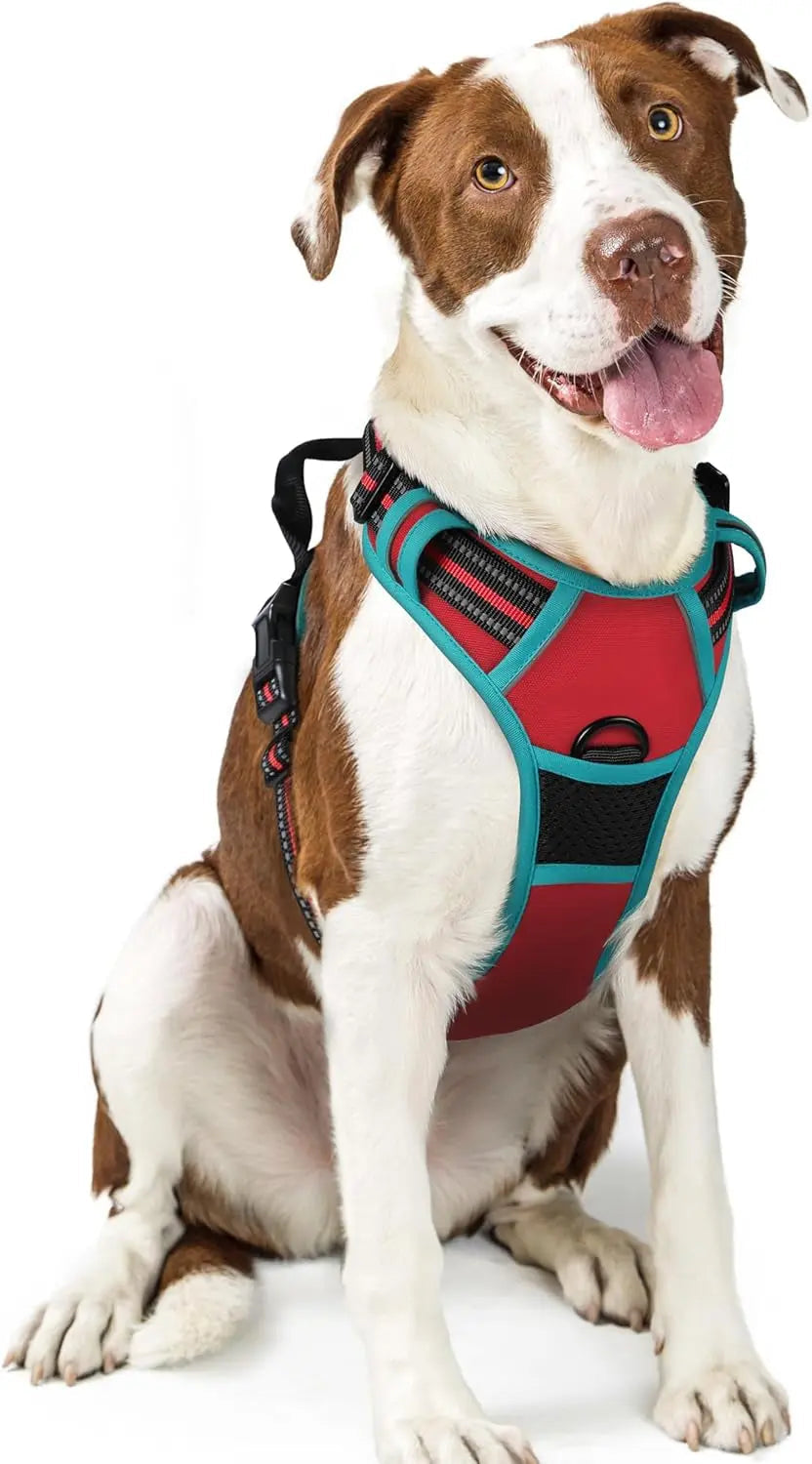 No-Pull Reflective Dog Harness, Heavy-Duty Oxford, Adjustable