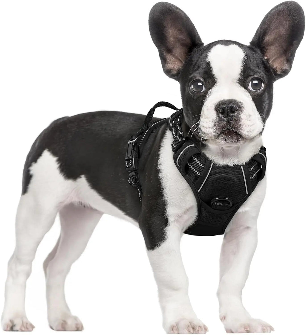 No-Pull Reflective Dog Harness, Heavy-Duty Oxford, Adjustable