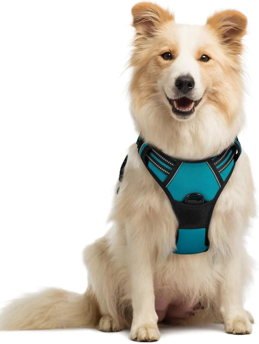 No-Pull Reflective Dog Harness, Heavy-Duty Oxford, Adjustable