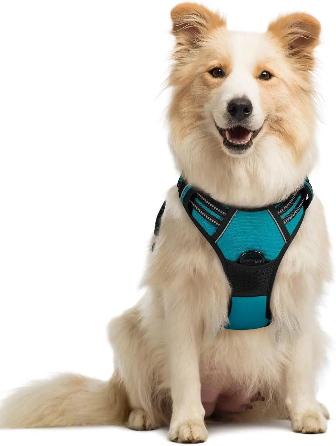 No-Pull Reflective Dog Harness, Heavy-Duty Oxford, Adjustable