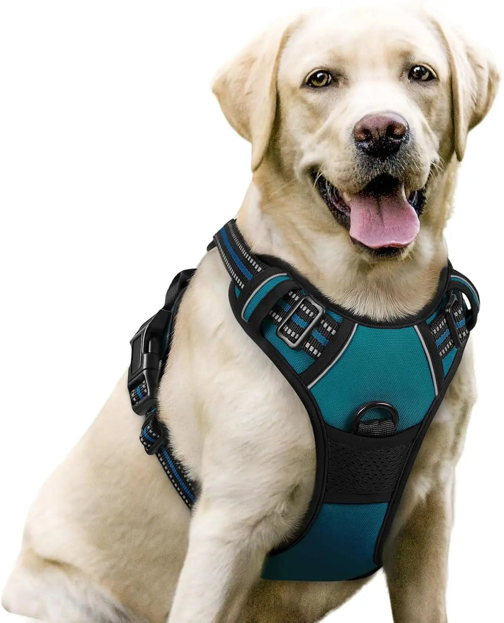 No-Pull Reflective Dog Harness, Heavy-Duty Oxford, Adjustable