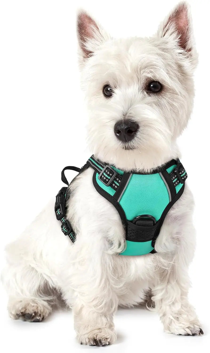 No-Pull Reflective Dog Harness, Heavy-Duty Oxford, Adjustable