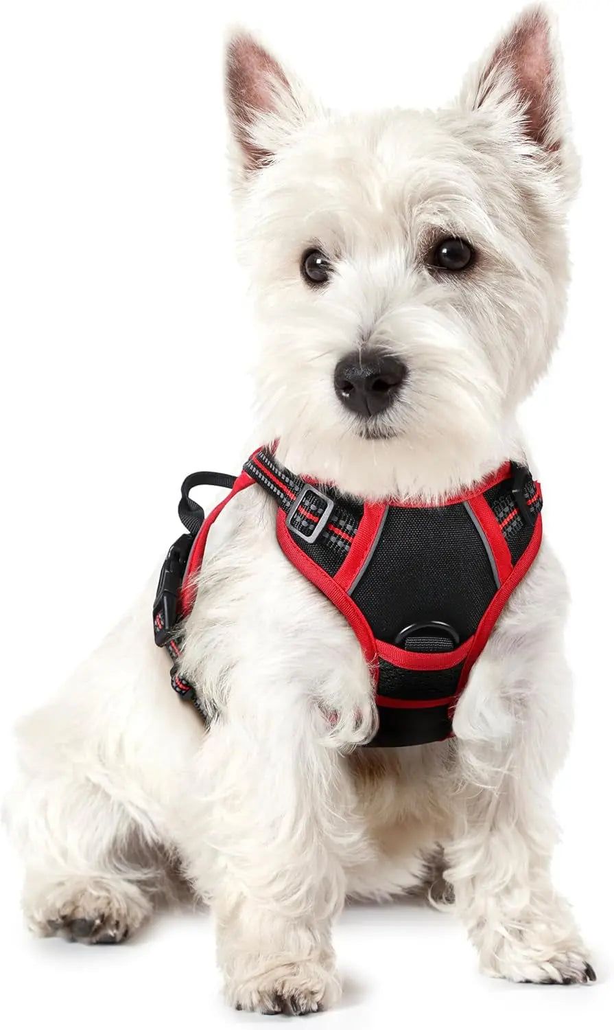 No-Pull Reflective Dog Harness, Heavy-Duty Oxford, Adjustable