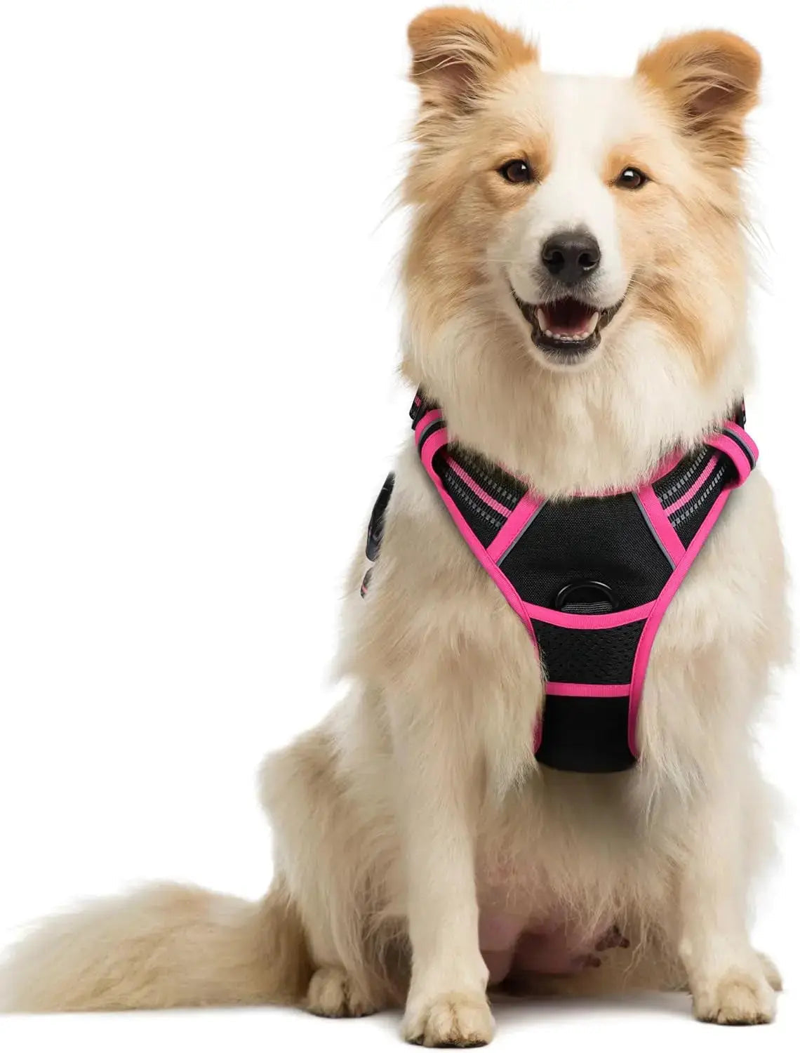 No-Pull Reflective Dog Harness, Heavy-Duty Oxford, Adjustable