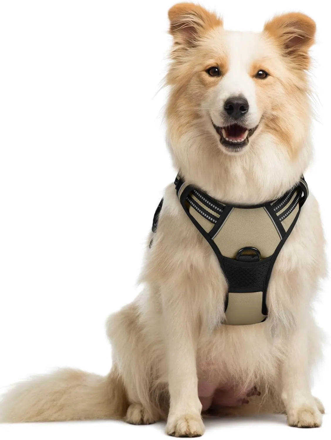 No-Pull Reflective Dog Harness, Heavy-Duty Oxford, Adjustable