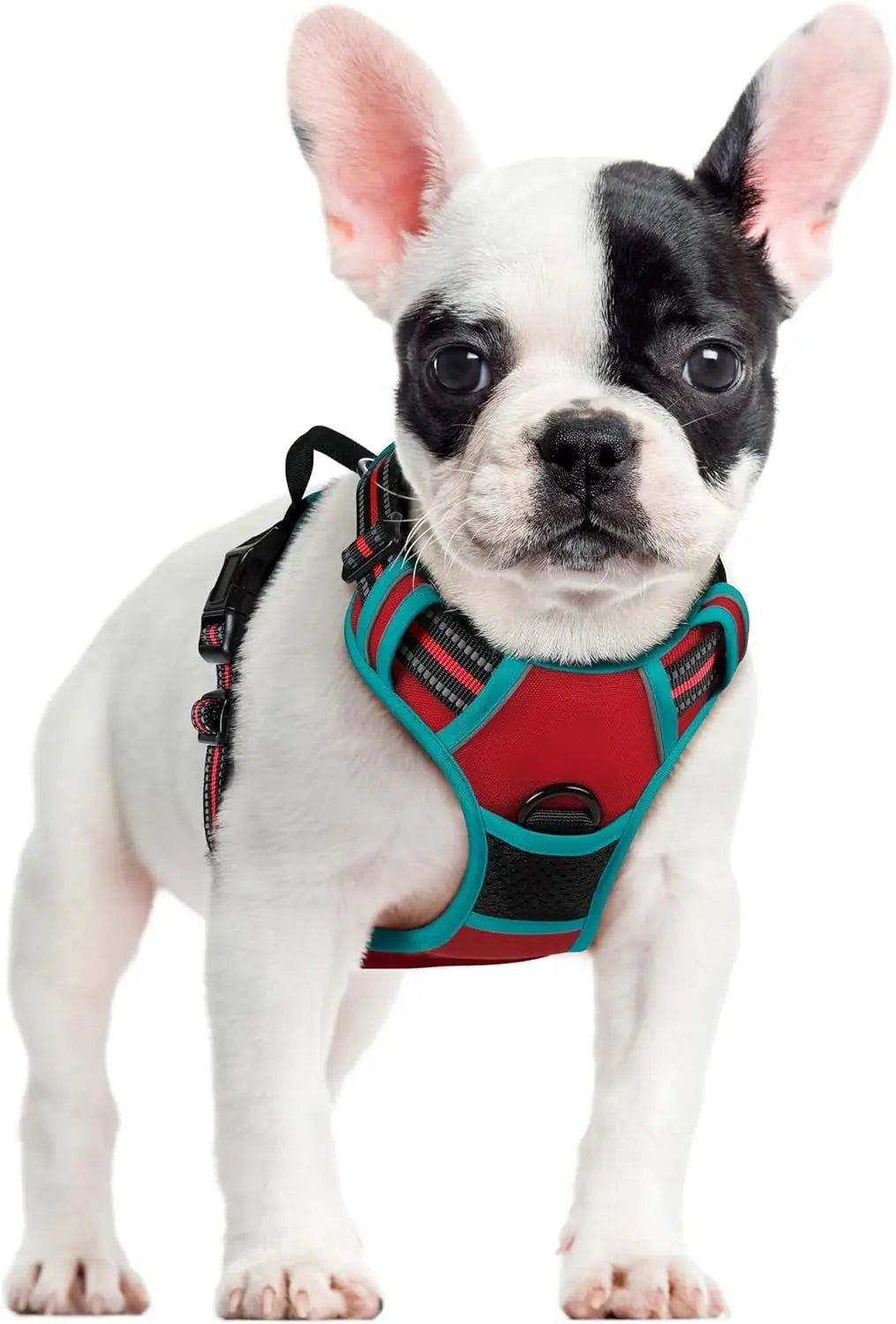 No-Pull Reflective Dog Harness, Heavy-Duty Oxford, Adjustable