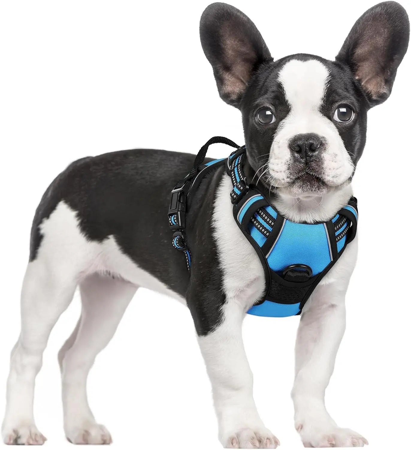 No-Pull Reflective Dog Harness, Heavy-Duty Oxford, Adjustable