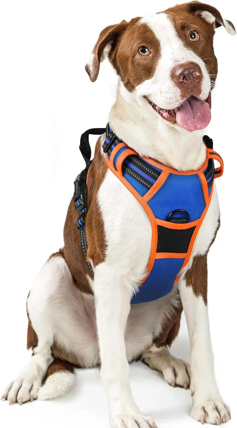 No-Pull Reflective Dog Harness, Heavy-Duty Oxford, Adjustable
