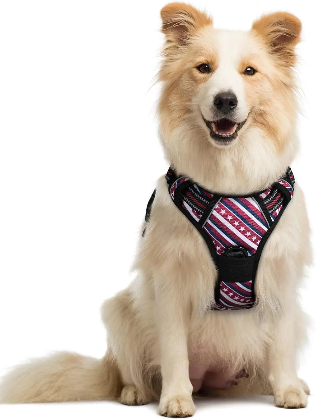 No-Pull Reflective Dog Harness, Heavy-Duty Oxford, Adjustable