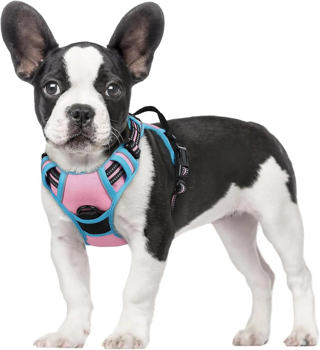No-Pull Reflective Dog Harness, Heavy-Duty Oxford, Adjustable