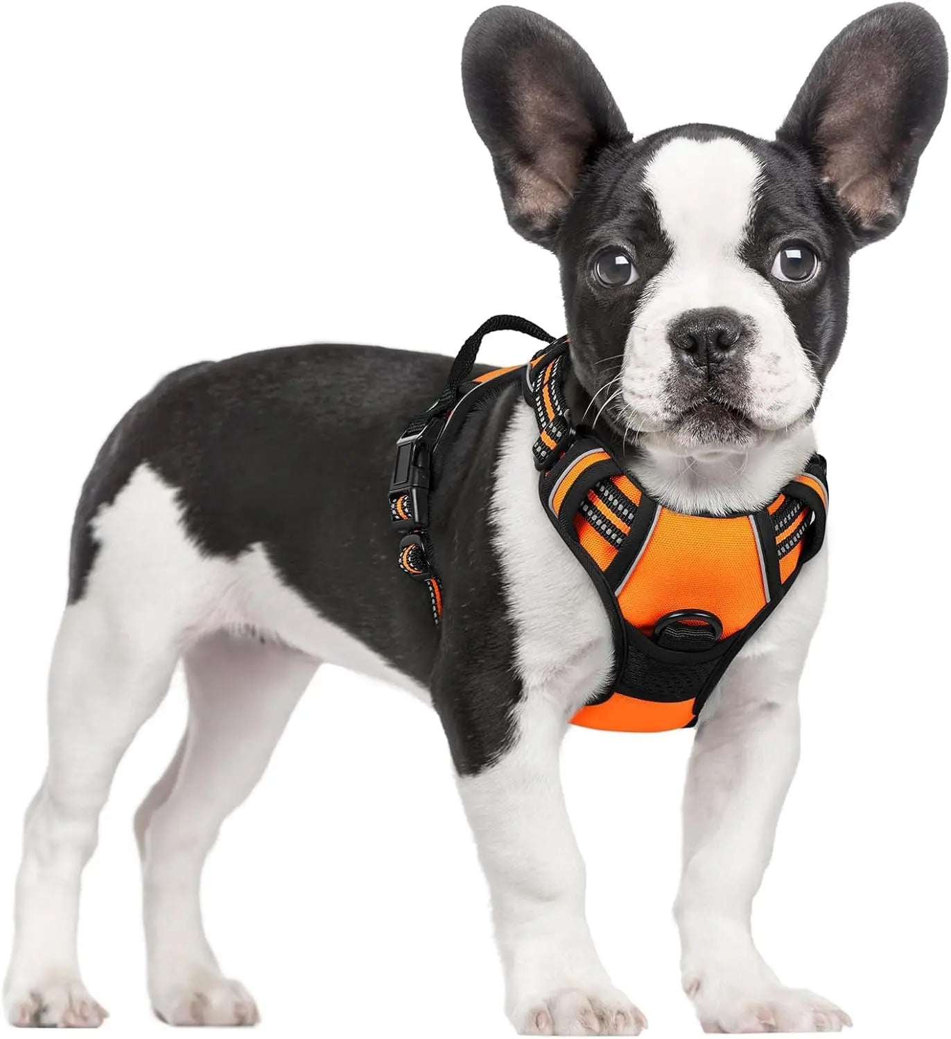 No-Pull Reflective Dog Harness, Heavy-Duty Oxford, Adjustable