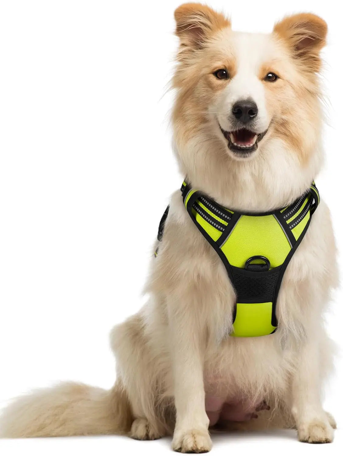 No-Pull Reflective Dog Harness, Heavy-Duty Oxford, Adjustable