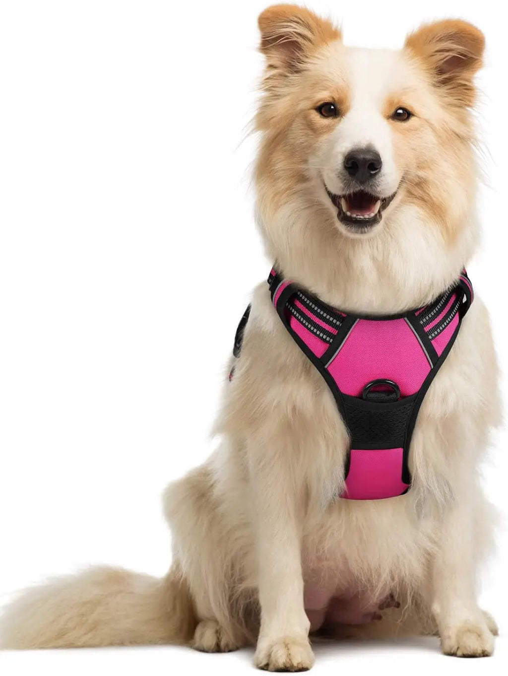 No-Pull Reflective Dog Harness, Heavy-Duty Oxford, Adjustable