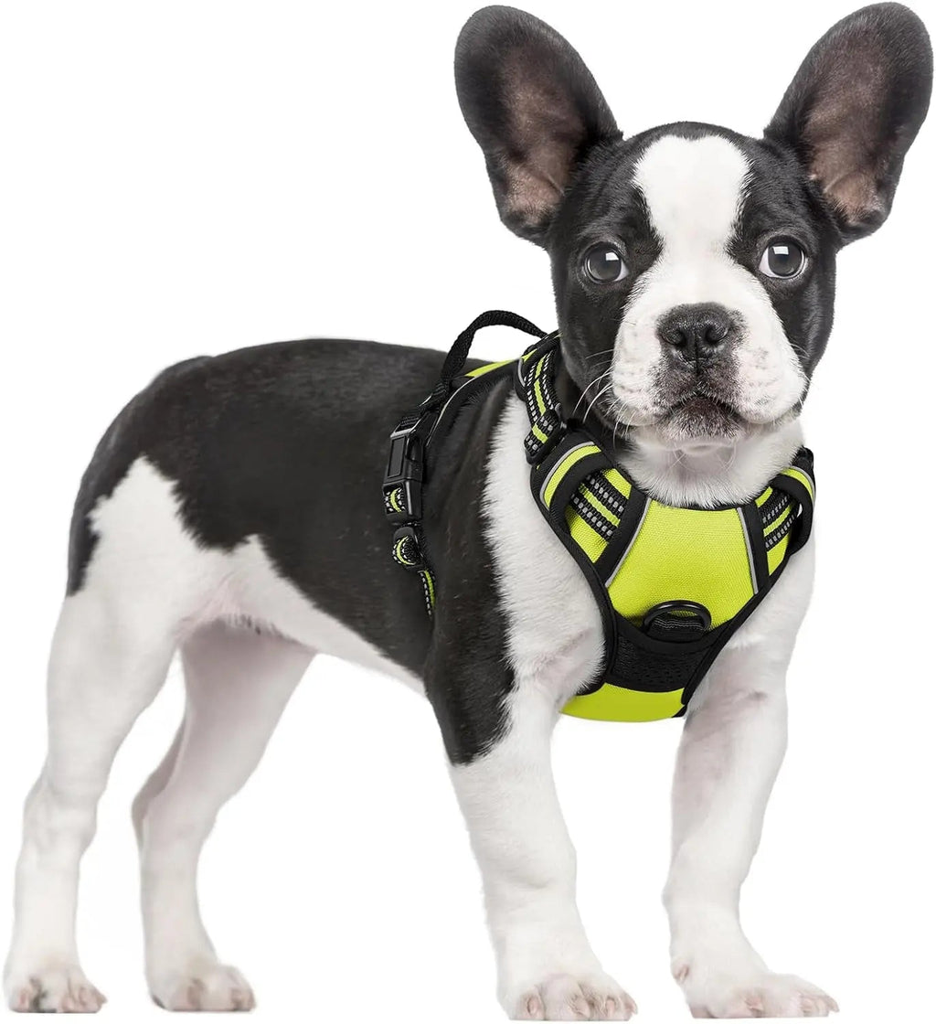 No-Pull Reflective Dog Harness, Heavy-Duty Oxford, Adjustable