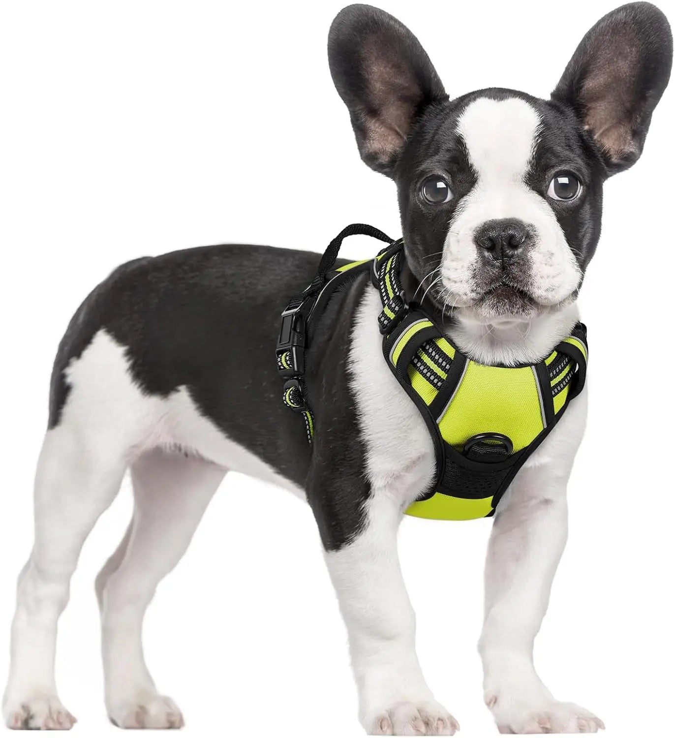 No-Pull Reflective Dog Harness, Heavy-Duty Oxford, Adjustable