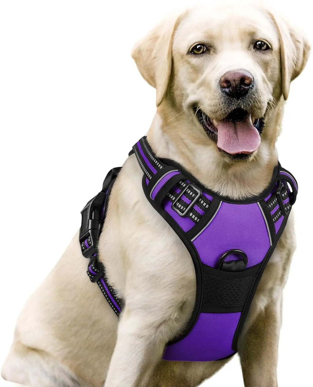 No-Pull Reflective Dog Harness, Heavy-Duty Oxford, Adjustable