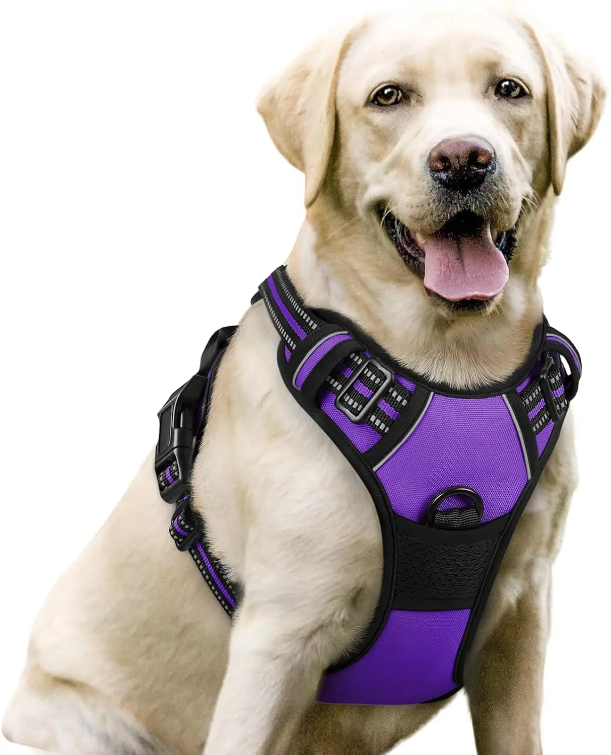 No-Pull Reflective Dog Harness, Heavy-Duty Oxford, Adjustable
