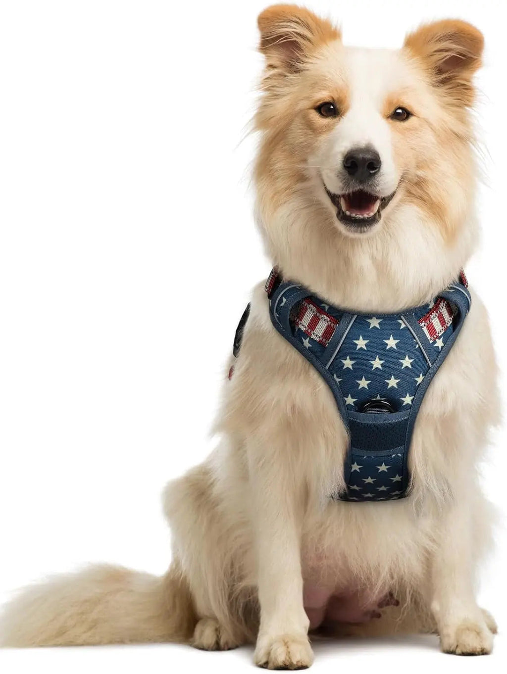 No-Pull Reflective Dog Harness, Heavy-Duty Oxford, Adjustable