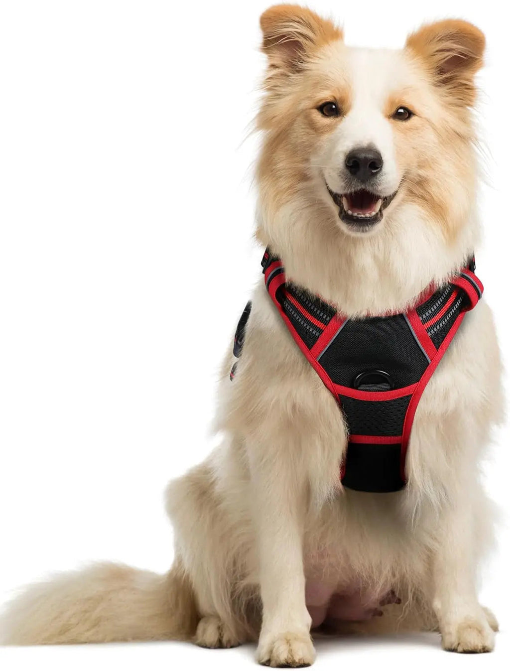 No-Pull Reflective Dog Harness, Heavy-Duty Oxford, Adjustable
