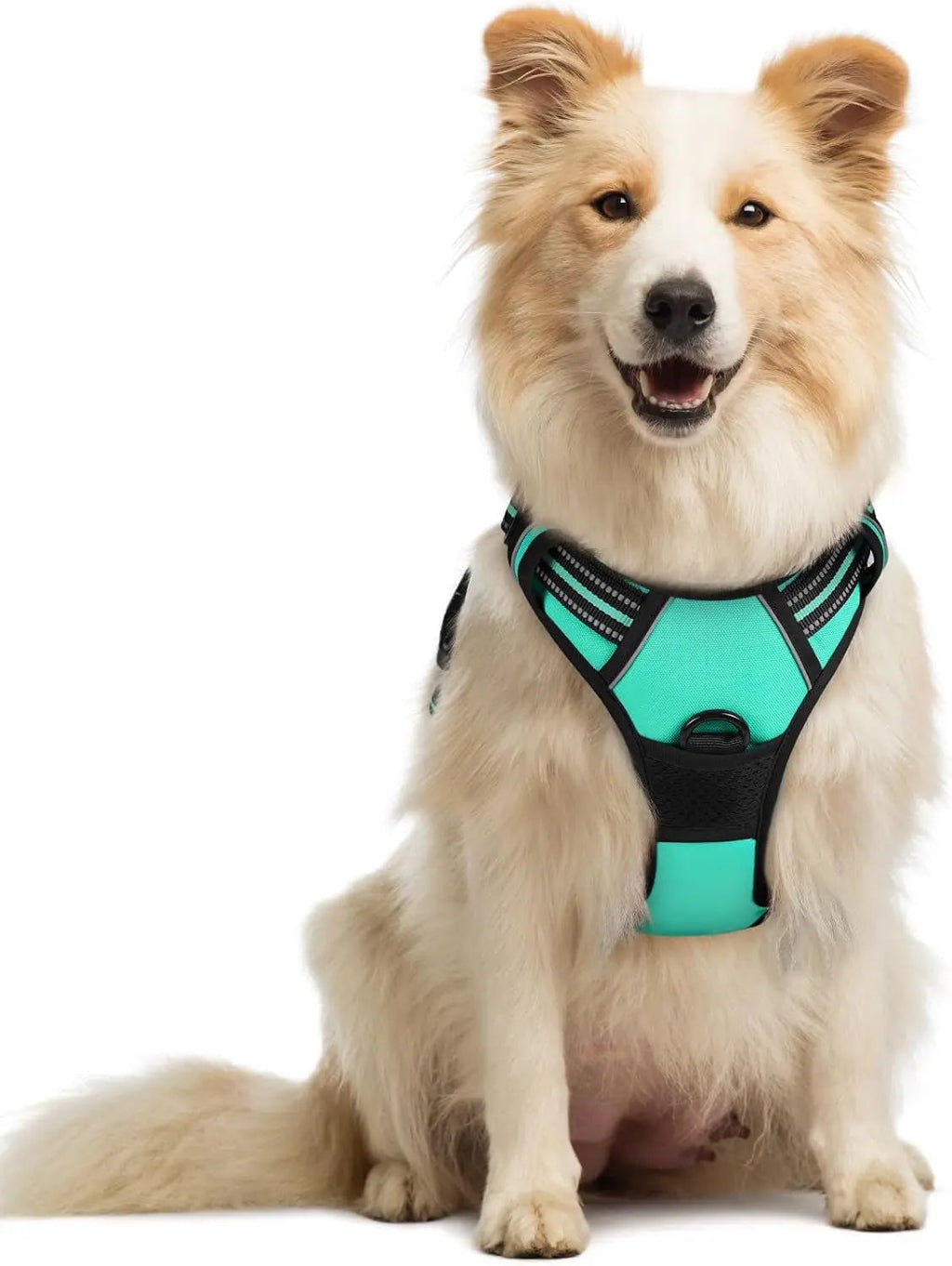 No-Pull Reflective Dog Harness, Heavy-Duty Oxford, Adjustable