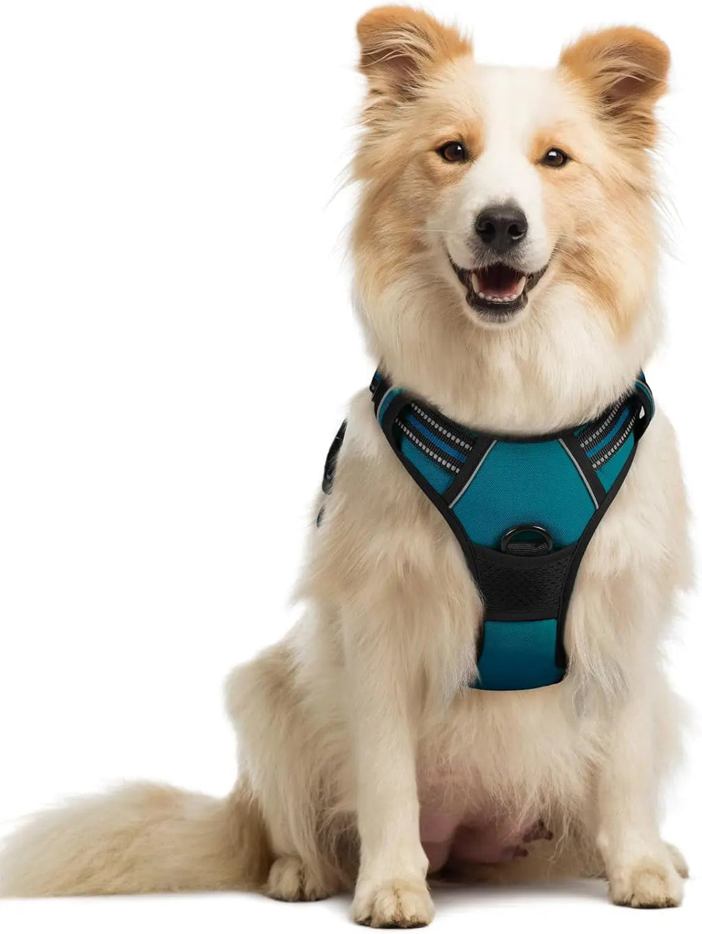 No-Pull Reflective Dog Harness, Heavy-Duty Oxford, Adjustable