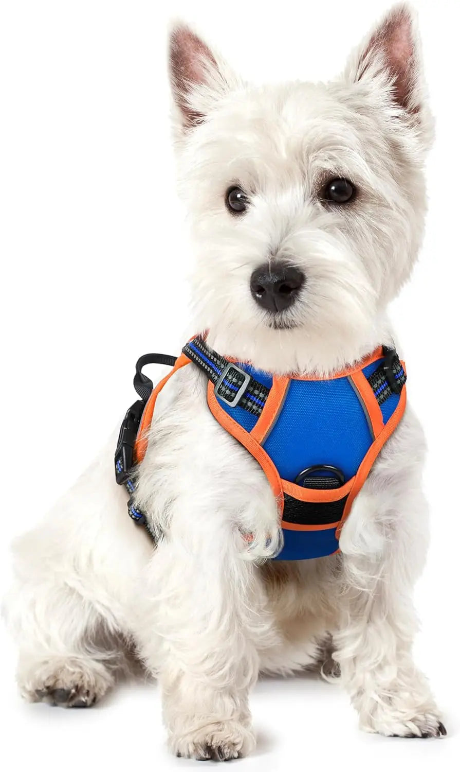 No-Pull Reflective Dog Harness, Heavy-Duty Oxford, Adjustable