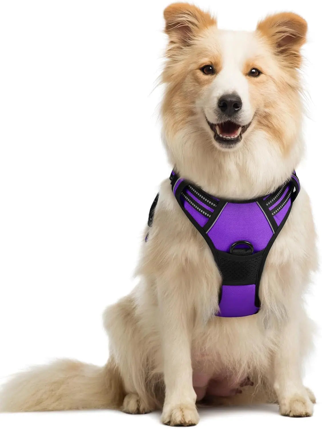 No-Pull Reflective Dog Harness, Heavy-Duty Oxford, Adjustable