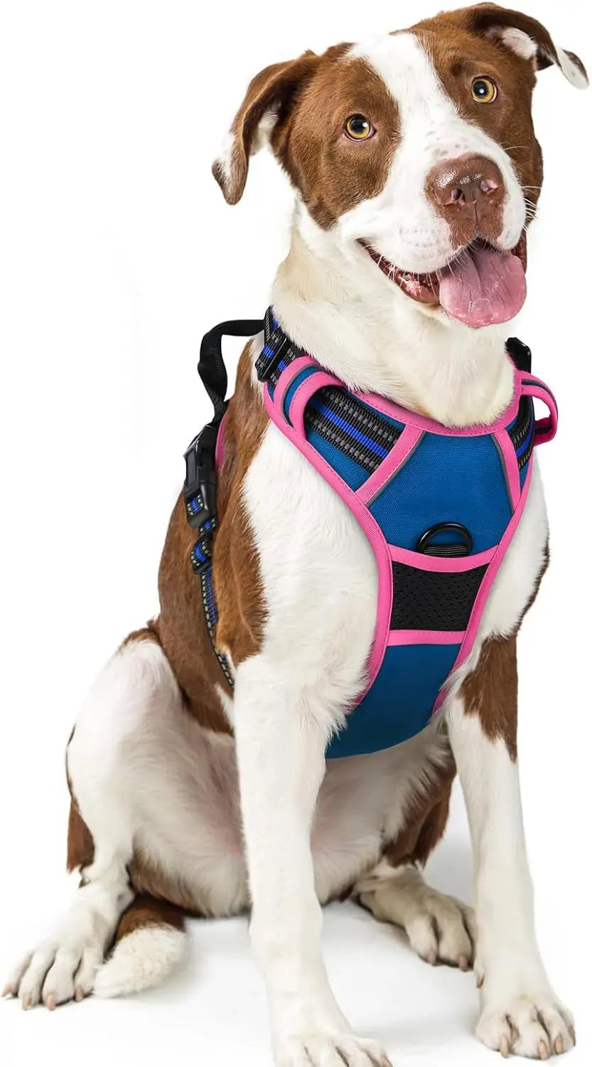 No-Pull Reflective Dog Harness, Heavy-Duty Oxford, Adjustable