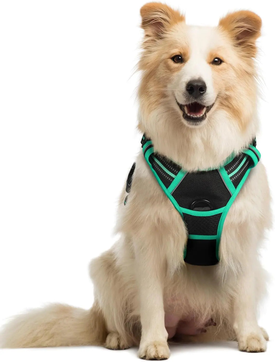 No-Pull Reflective Dog Harness, Heavy-Duty Oxford, Adjustable