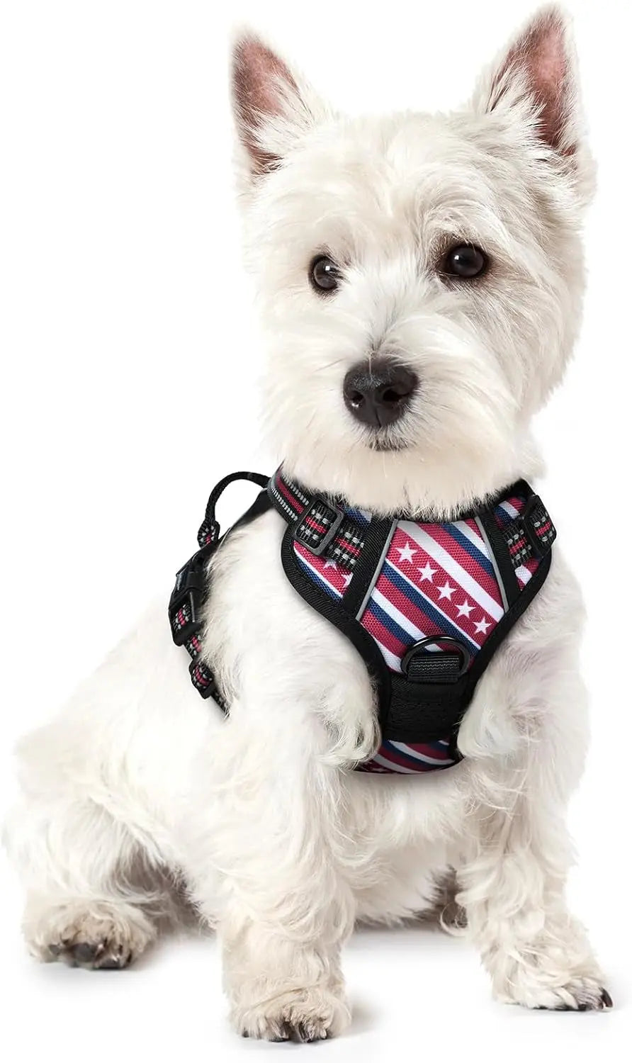 No-Pull Reflective Dog Harness, Heavy-Duty Oxford, Adjustable