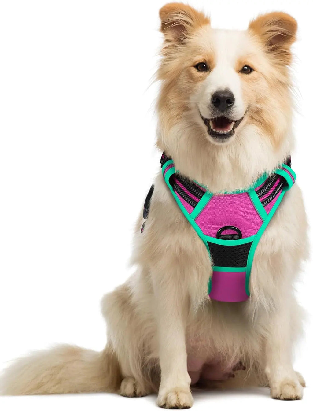 No-Pull Reflective Dog Harness, Heavy-Duty Oxford, Adjustable