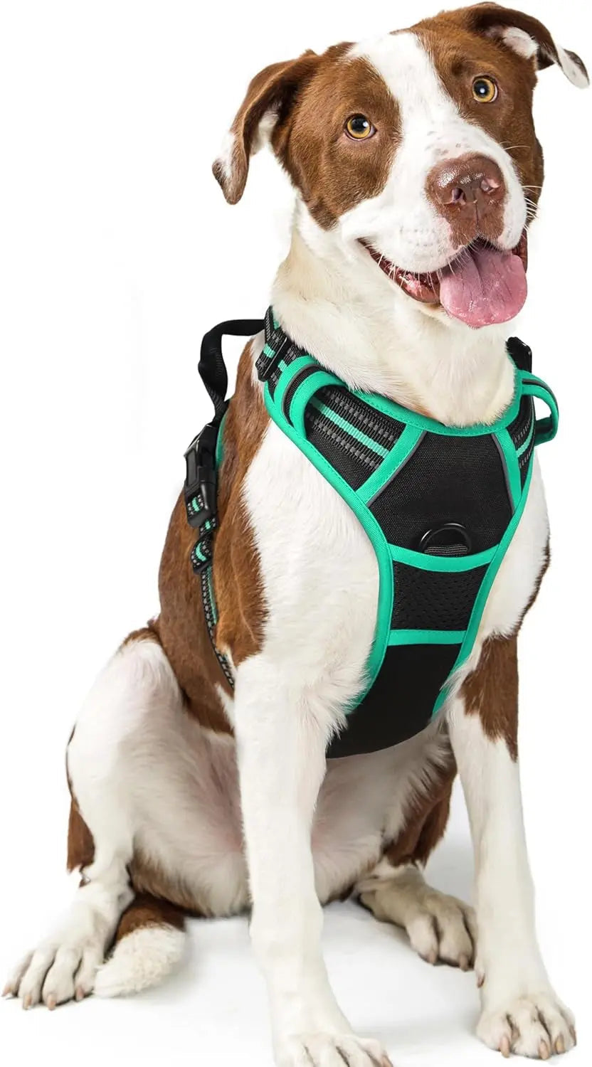 No-Pull Reflective Dog Harness, Heavy-Duty Oxford, Adjustable