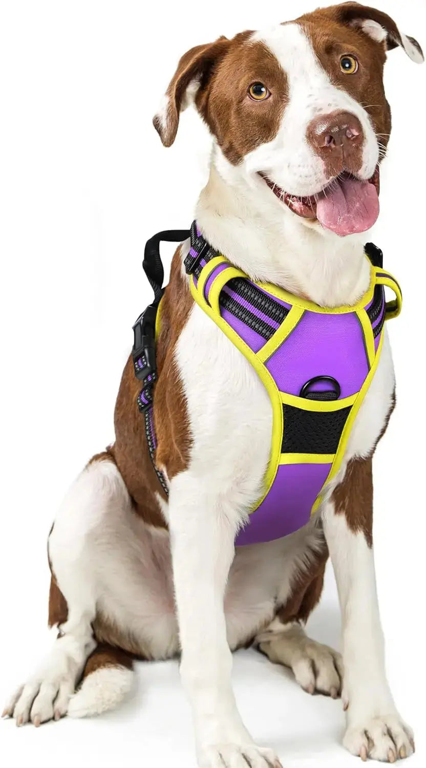 No-Pull Reflective Dog Harness, Heavy-Duty Oxford, Adjustable