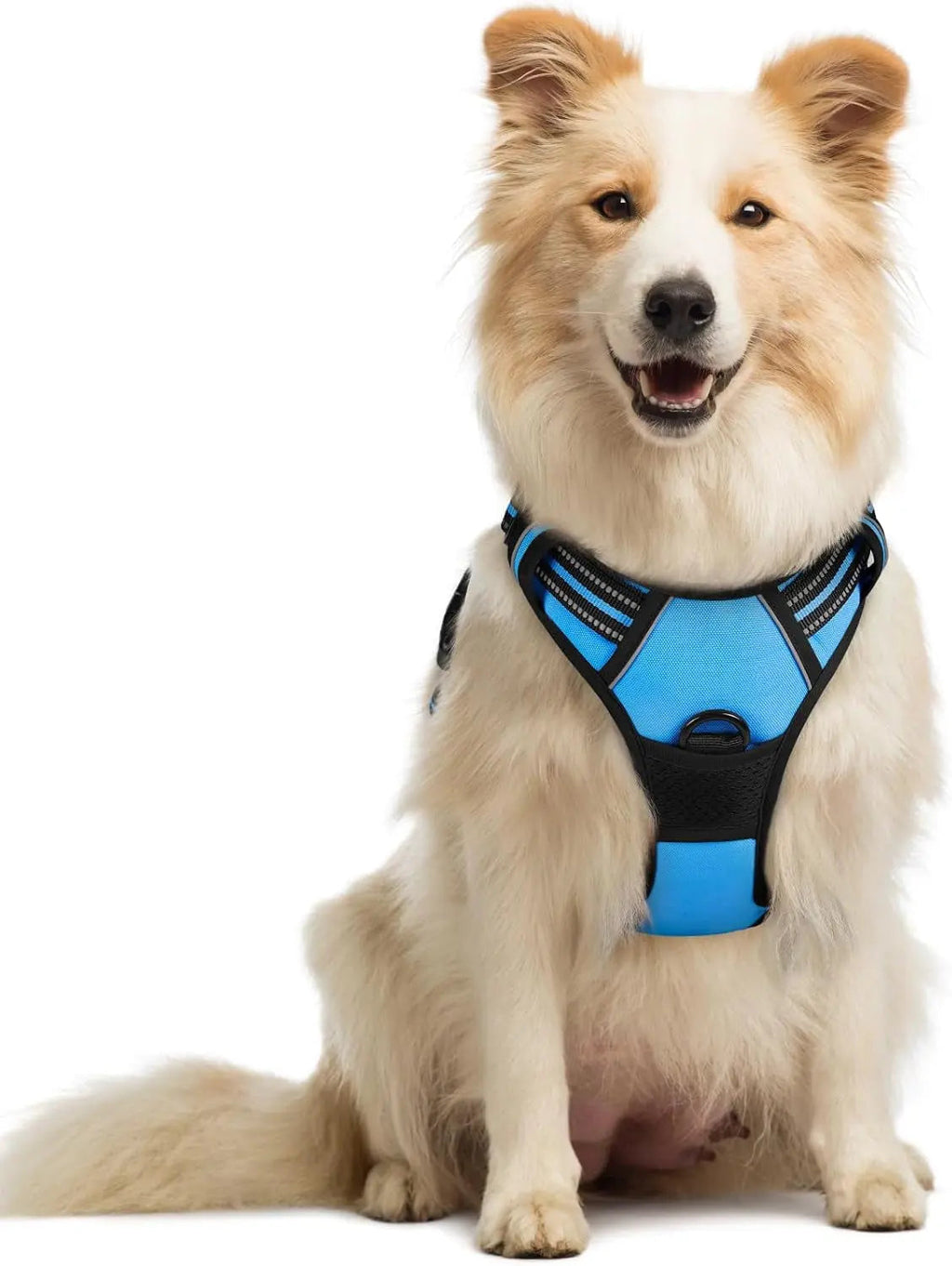 No-Pull Reflective Dog Harness, Heavy-Duty Oxford, Adjustable