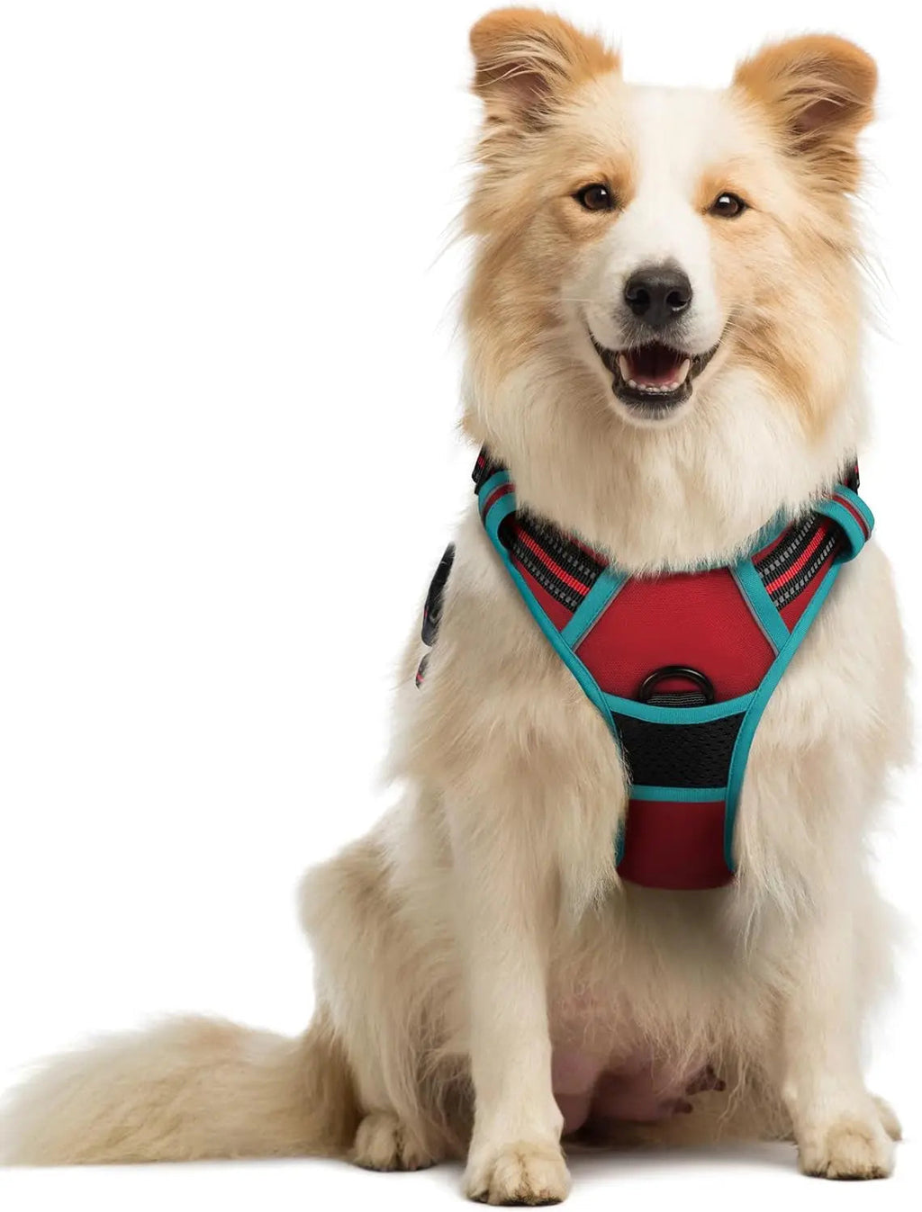 No-Pull Reflective Dog Harness, Heavy-Duty Oxford, Adjustable