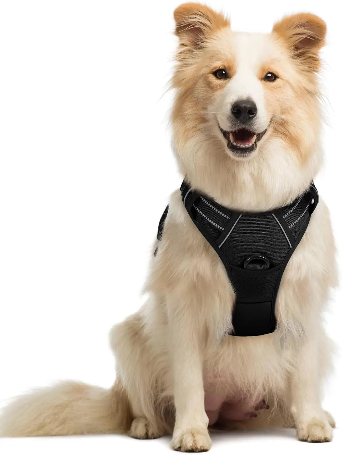 No-Pull Reflective Dog Harness, Heavy-Duty Oxford, Adjustable